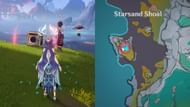 Location of the puzzle in Starshand Shoal (Image via Sportskeeda Gaming/HoYoverse)